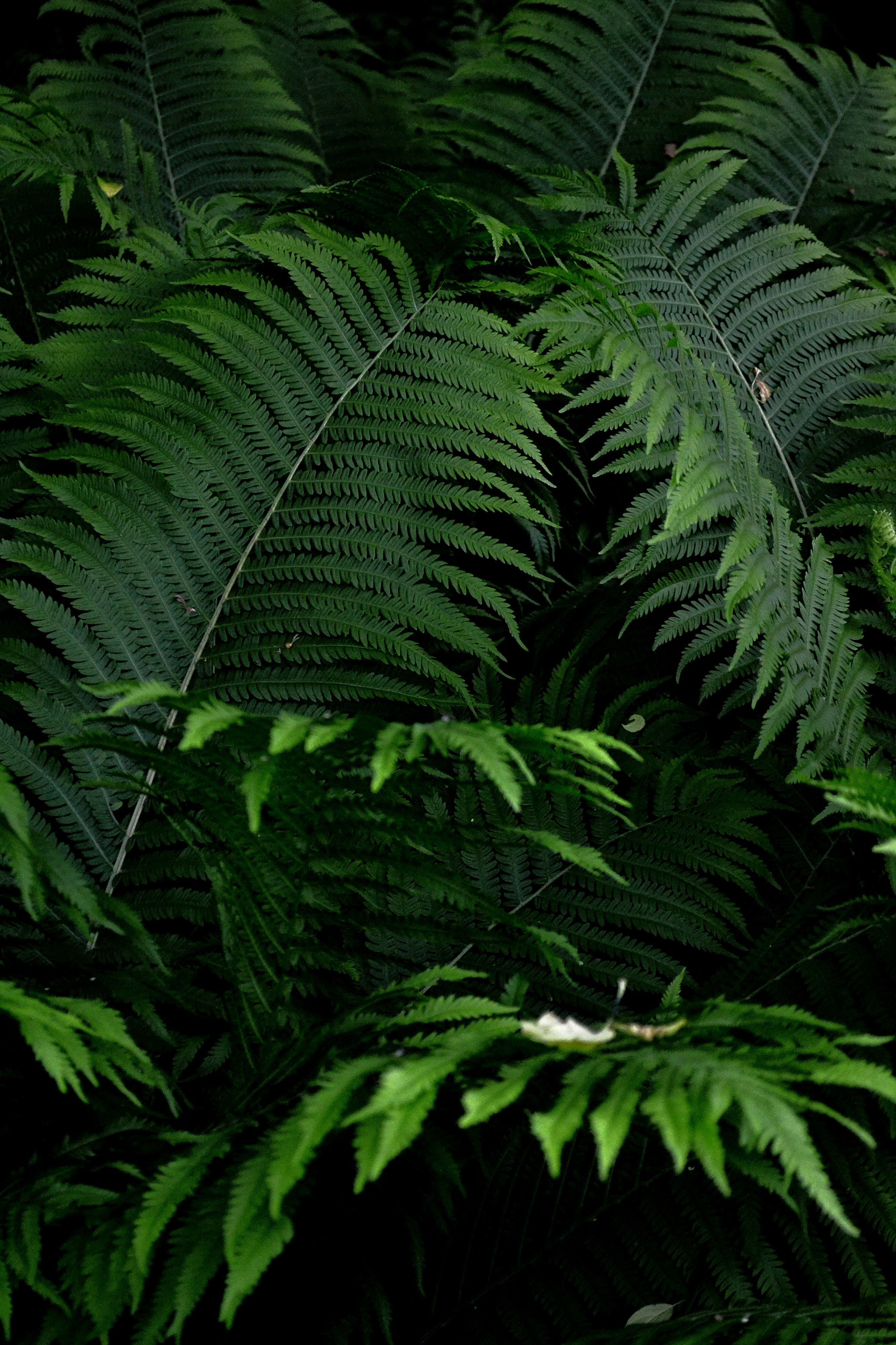 Photo by michealcopley03