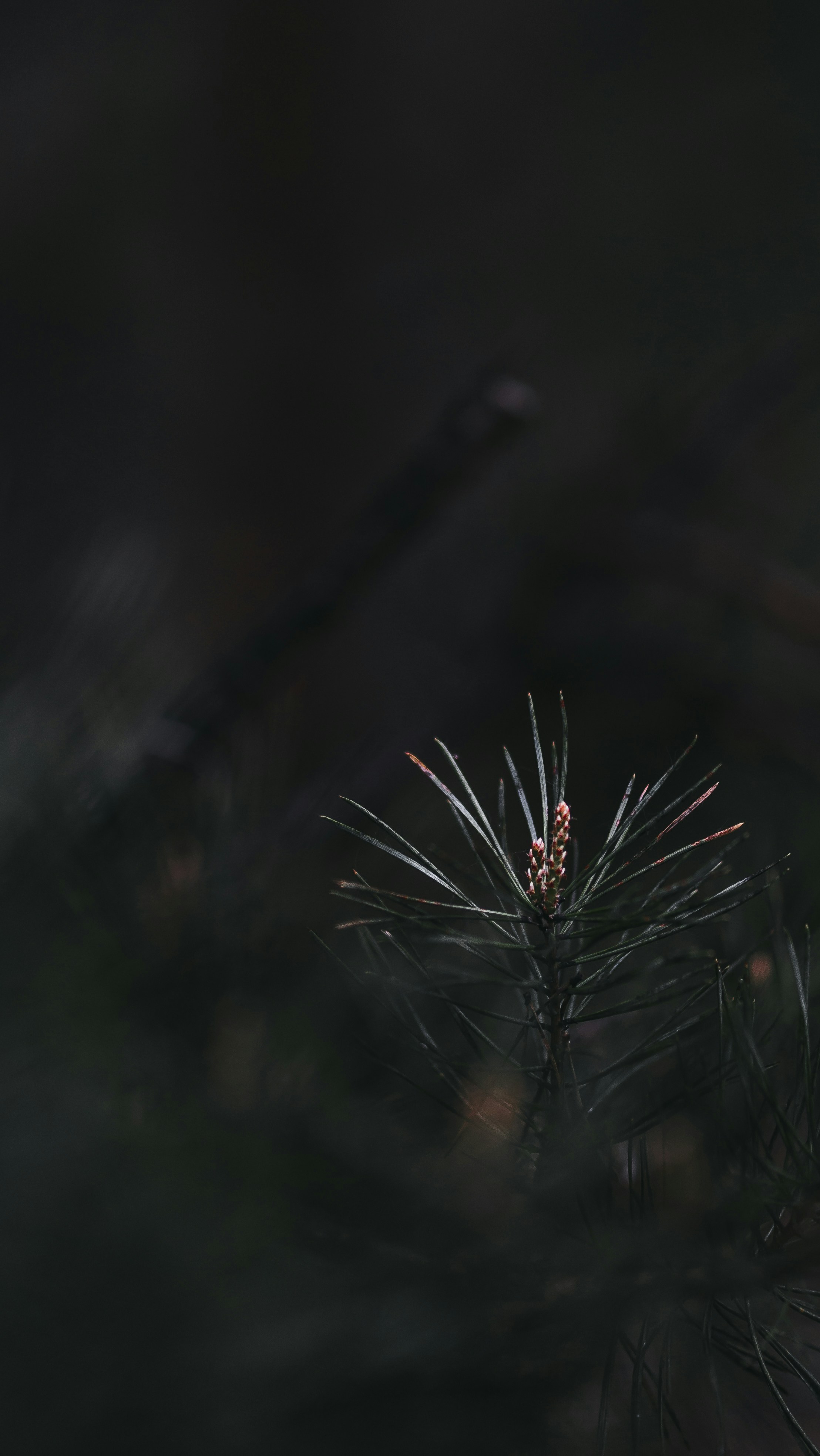 Photo by eugenechystiakov