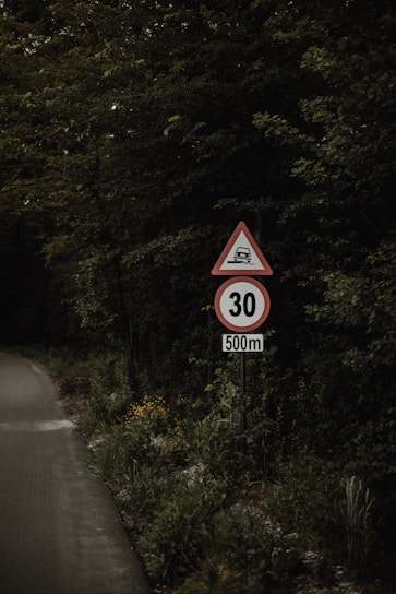 A rural road lined with dense green foliage features a traffic sign indicating a speed limit. The sign shows a triangular shape with an image of a vehicle bump hazard and a circular speed limit of 30, positioned above a rectangular plaque indicating a 500-meter distance. The road surface appears slightly worn, with abundant vegetation surrounding it.