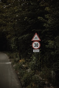 A rural road lined with dense green foliage features a traffic sign indicating a speed limit. The sign shows a triangular shape with an image of a vehicle bump hazard and a circular speed limit of 30, positioned above a rectangular plaque indicating a 500-meter distance. The road surface appears slightly worn, with abundant vegetation surrounding it.