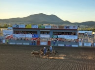 A rodeo event is taking place with a cowboy on horseback chasing a calf in a dusty arena. In the background, there is a grandstand filled with spectators watching the event. Various advertisements and sponsorship logos are displayed around the arena. The surrounding landscape features mountains and open terrain under a clear sky.