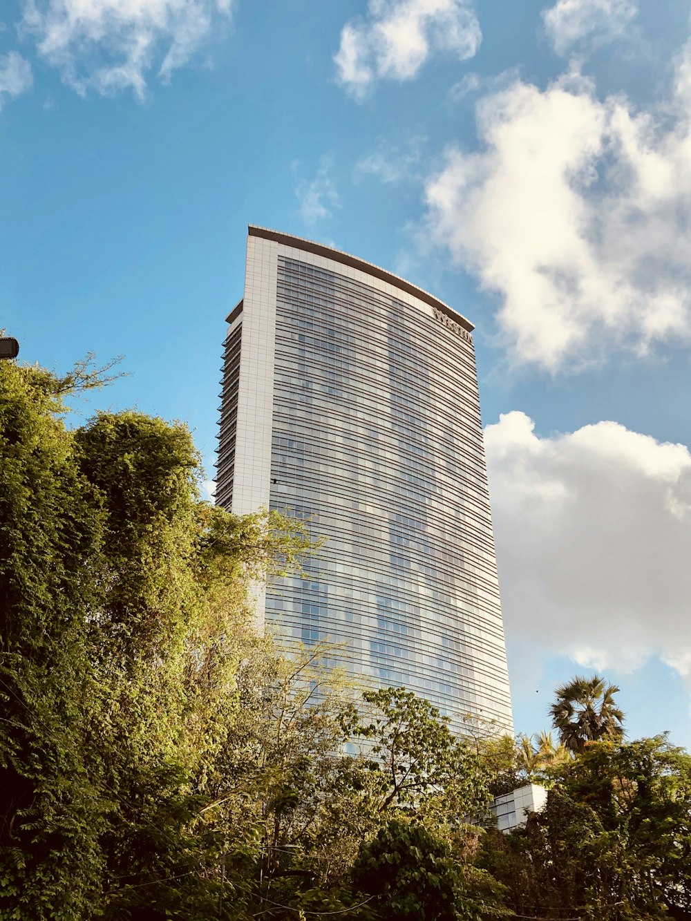 green trees near high rise building during daytime