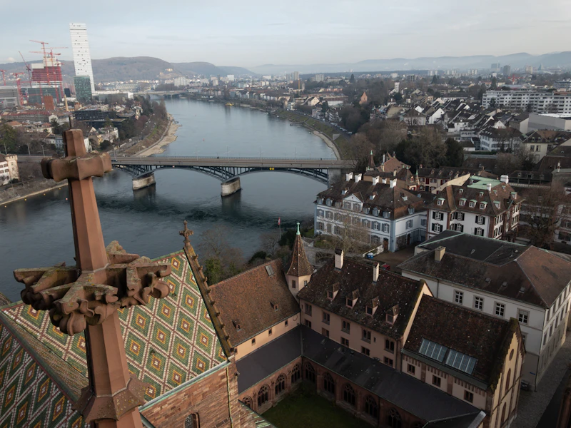 Best Casual Dinner Spots in Basel for a No-Fuss Evening Out