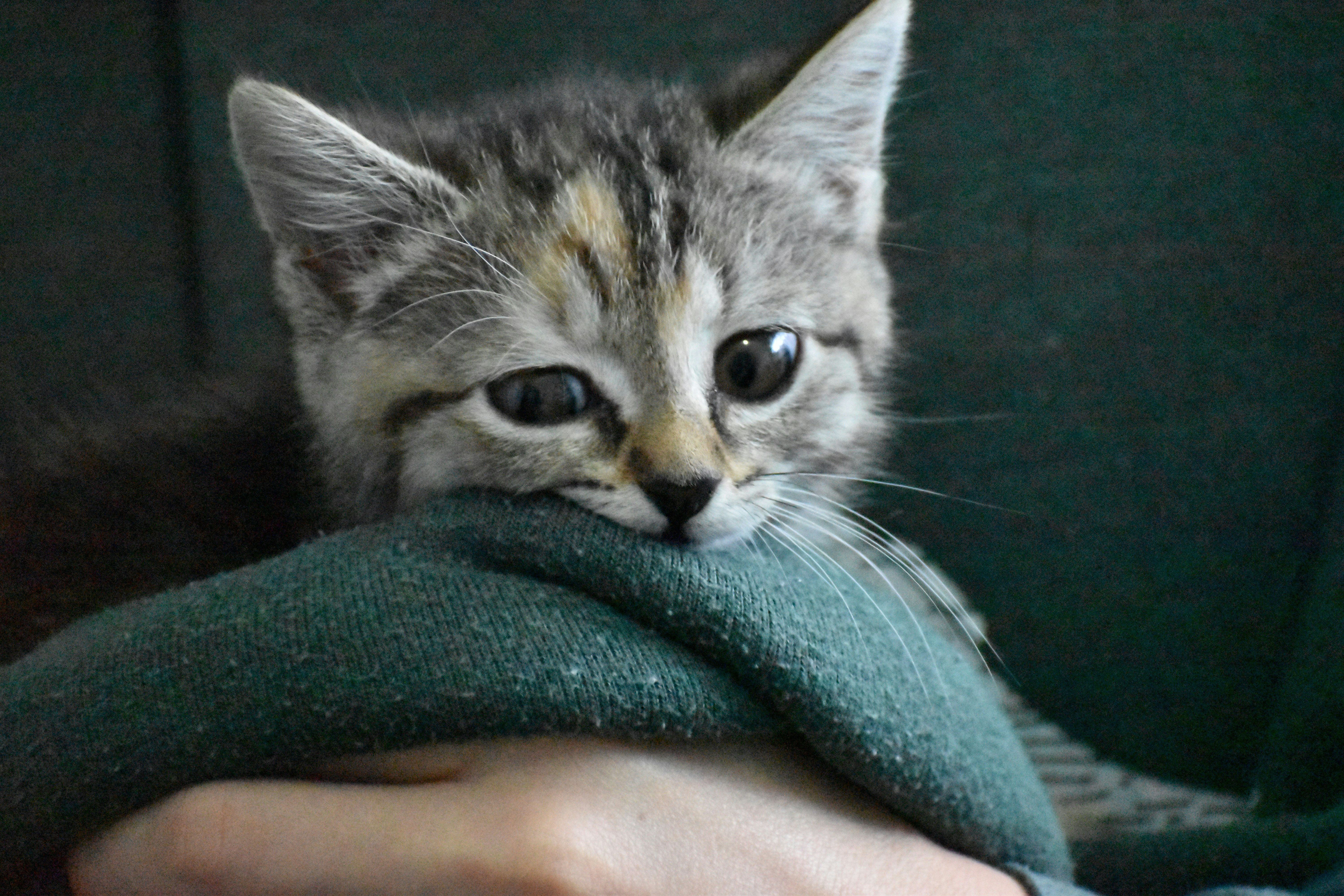 Photo by kaleb_becker