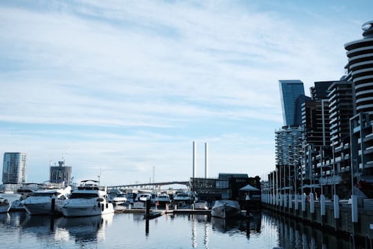 white and black boat on dock during daytime in Docklands Australia