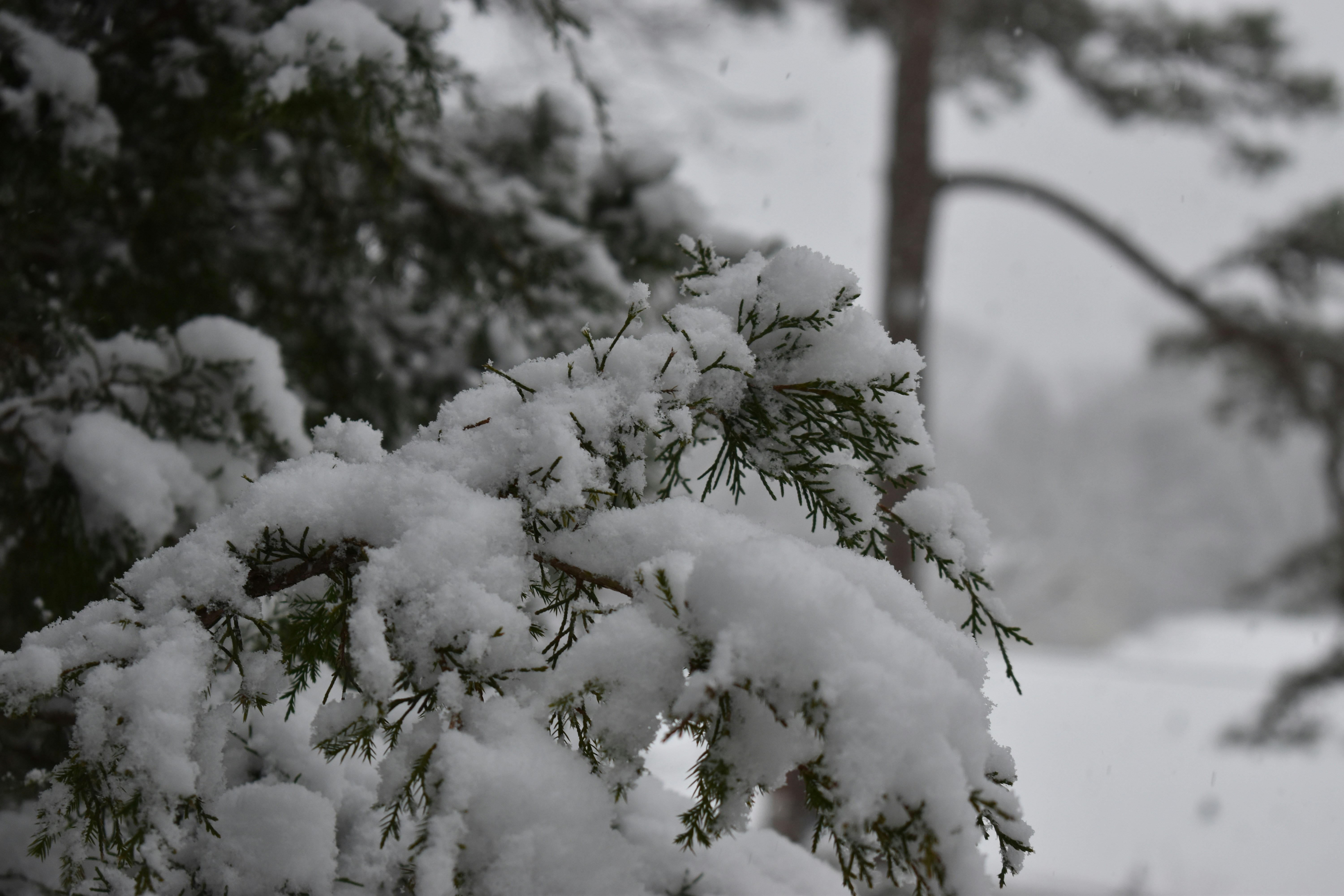 Photo by kaleb_becker