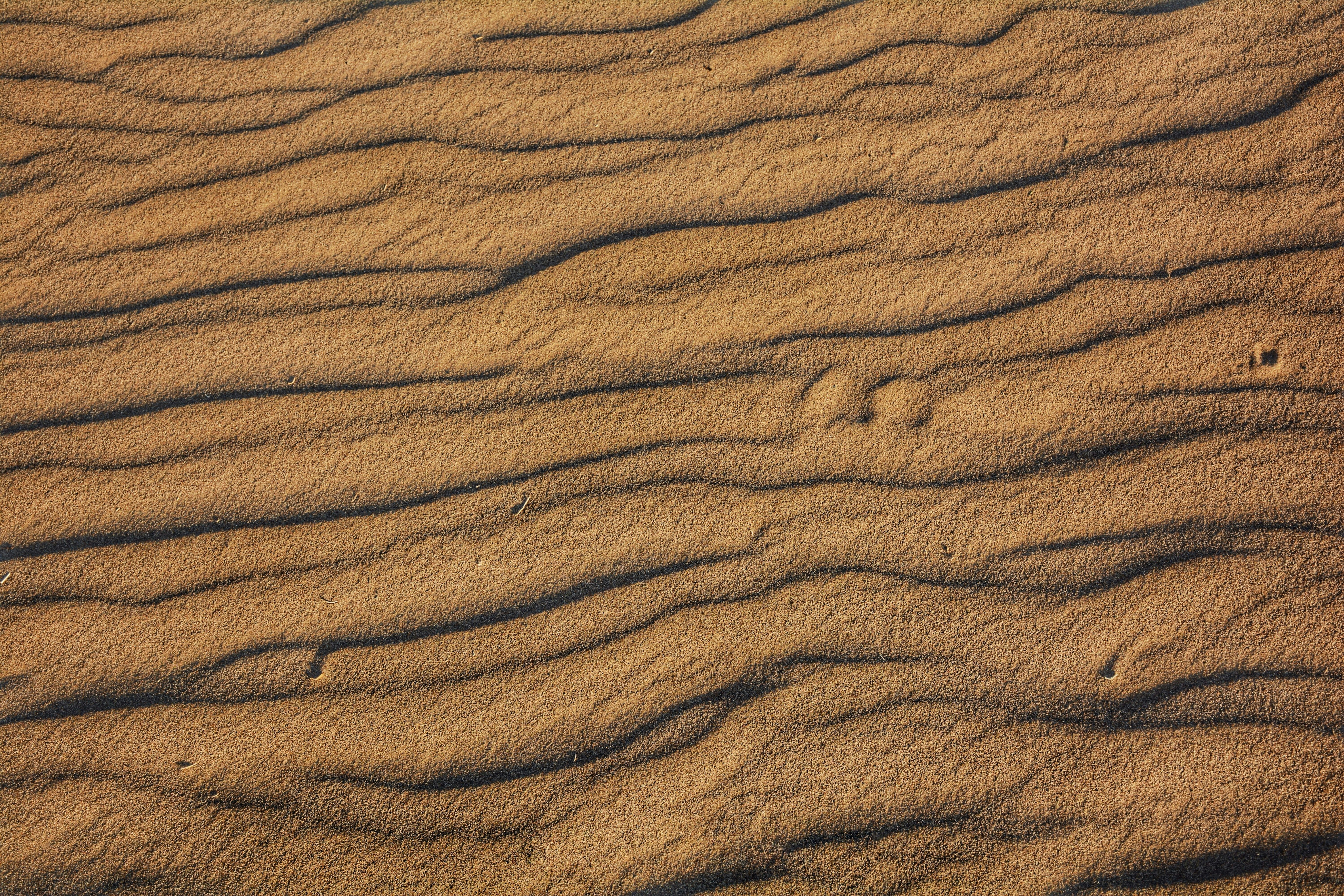 Photo by alirezavalizadeh