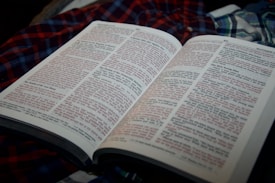 An open book displaying text in two columns, with some portions of the text highlighted in red. The book is placed on a checkered fabric, predominantly in shades of red and blue.
