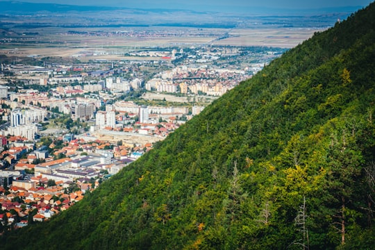 aerial view of city buildings on green mountain during daytime in Tâmpa Romania