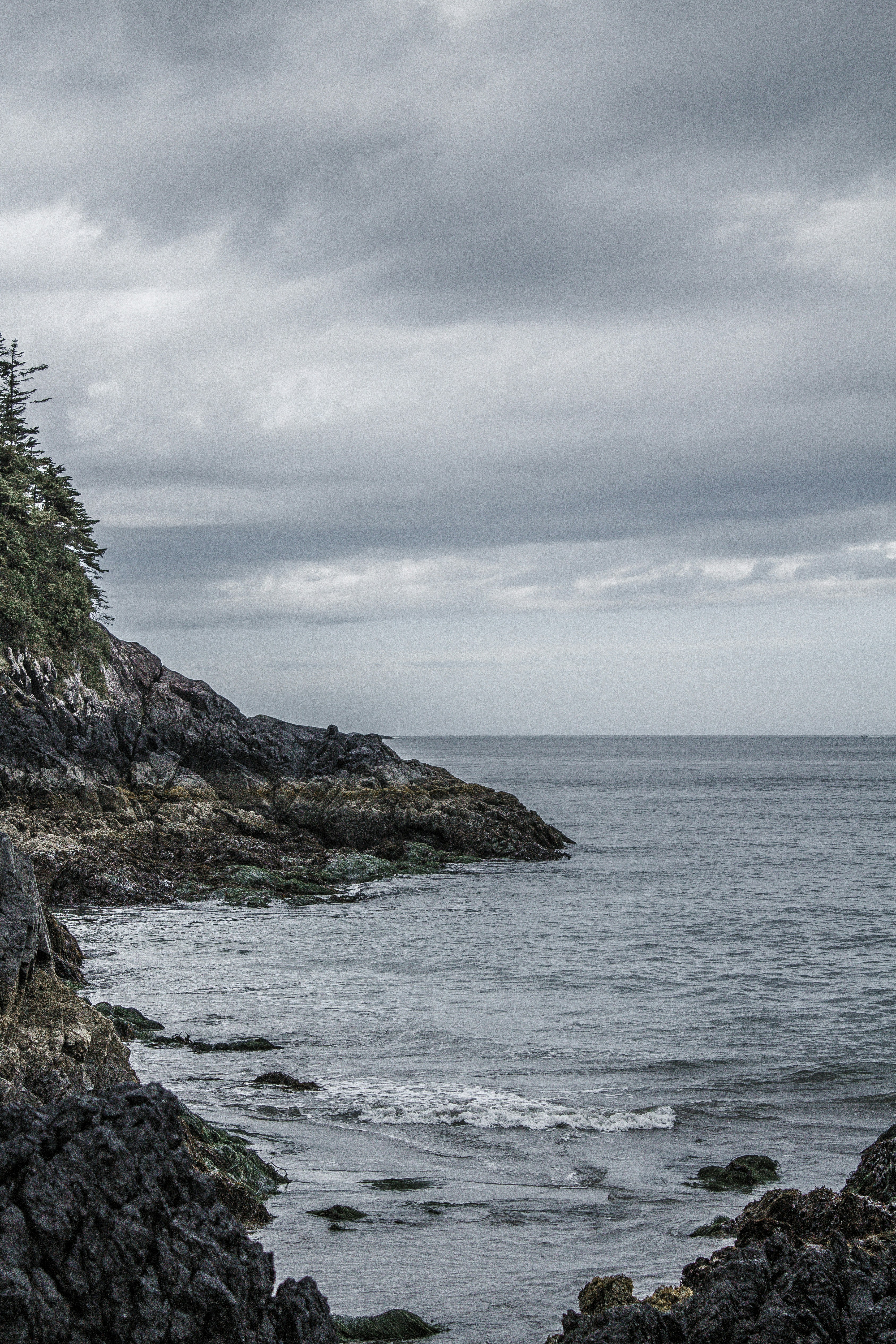 Photo by colefreeman