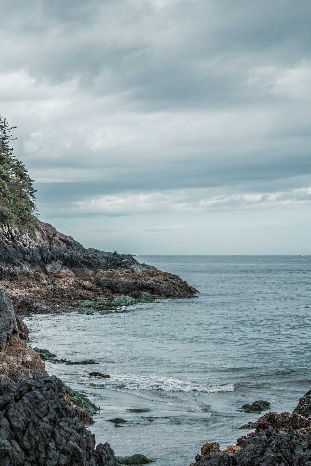 Shore photo spot Mackenzie Beach Road Tofino