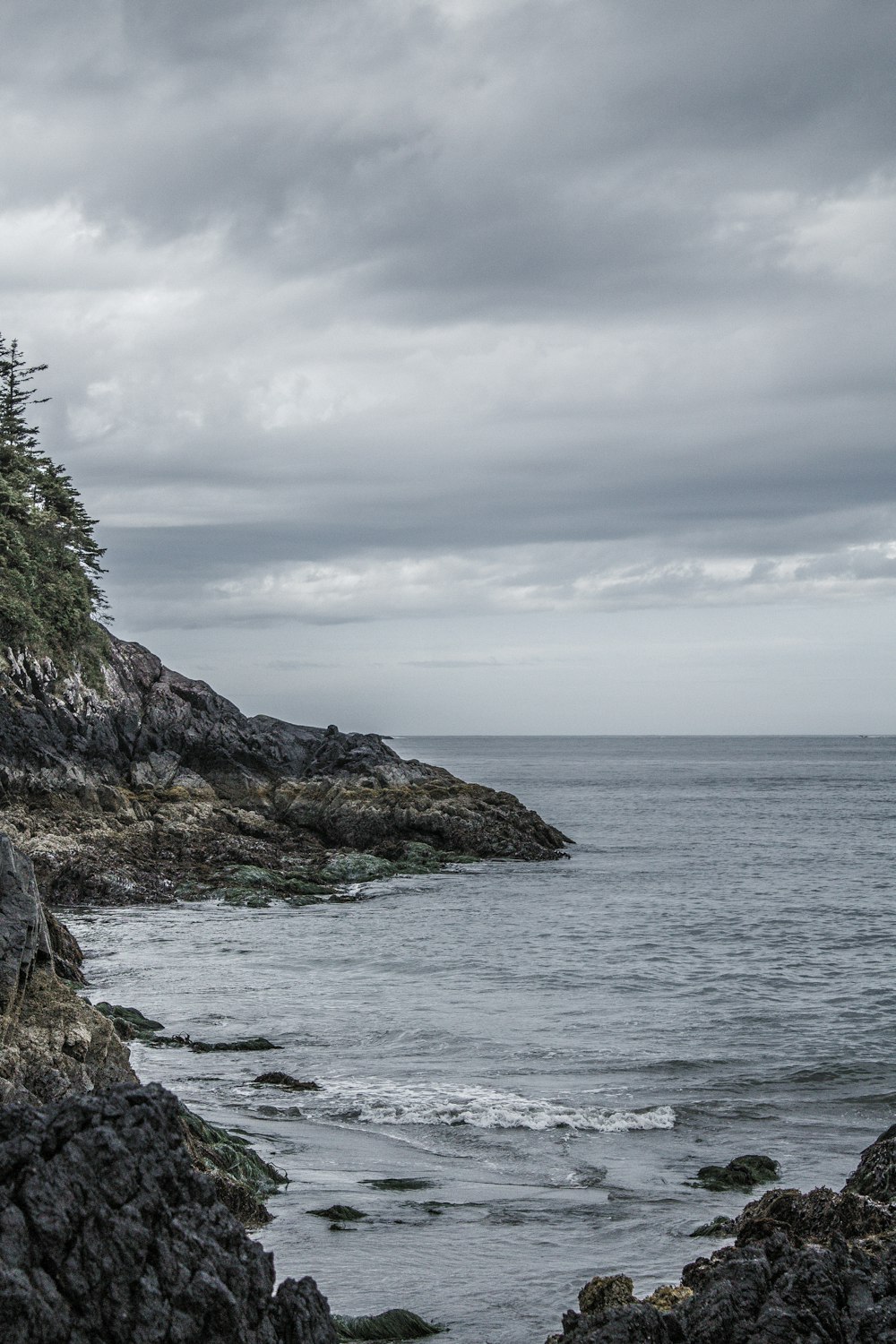 green trees on brown rocky mountain beside sea under white clouds during daytime