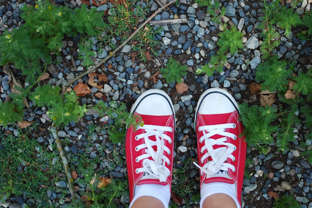 Foto persona con zapatillas converse all star rojas – Imagen Vestir gratis  en Unsplash