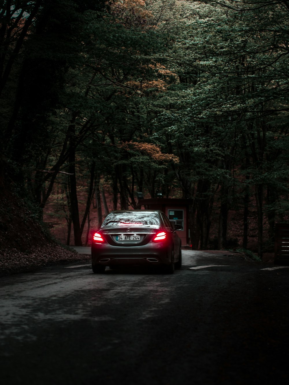 red car on road in between trees during daytime