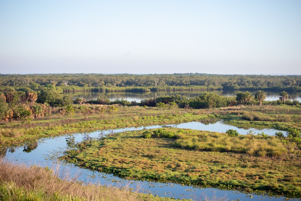 a river running through a lush green field