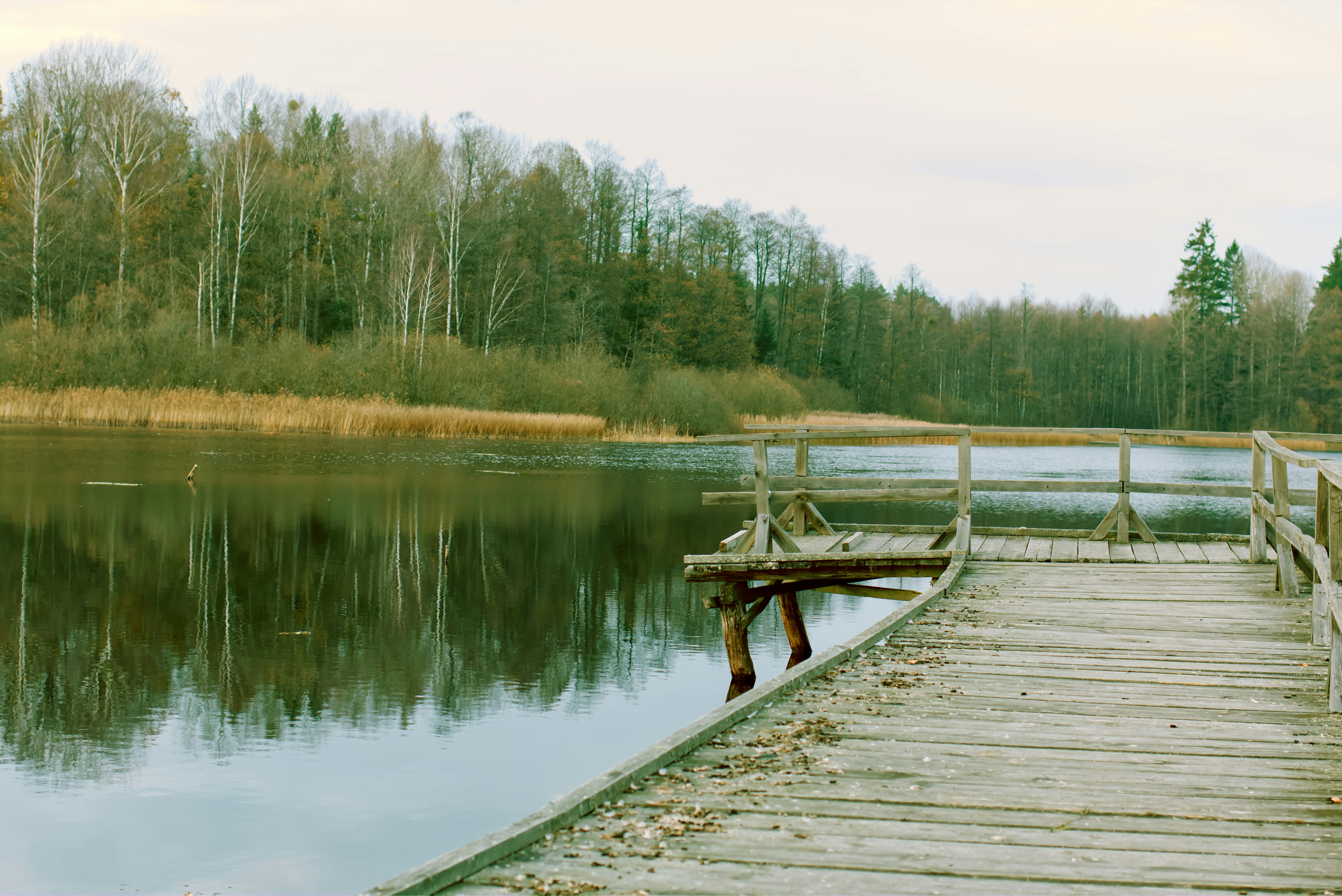 Photo by marek_ruczaj