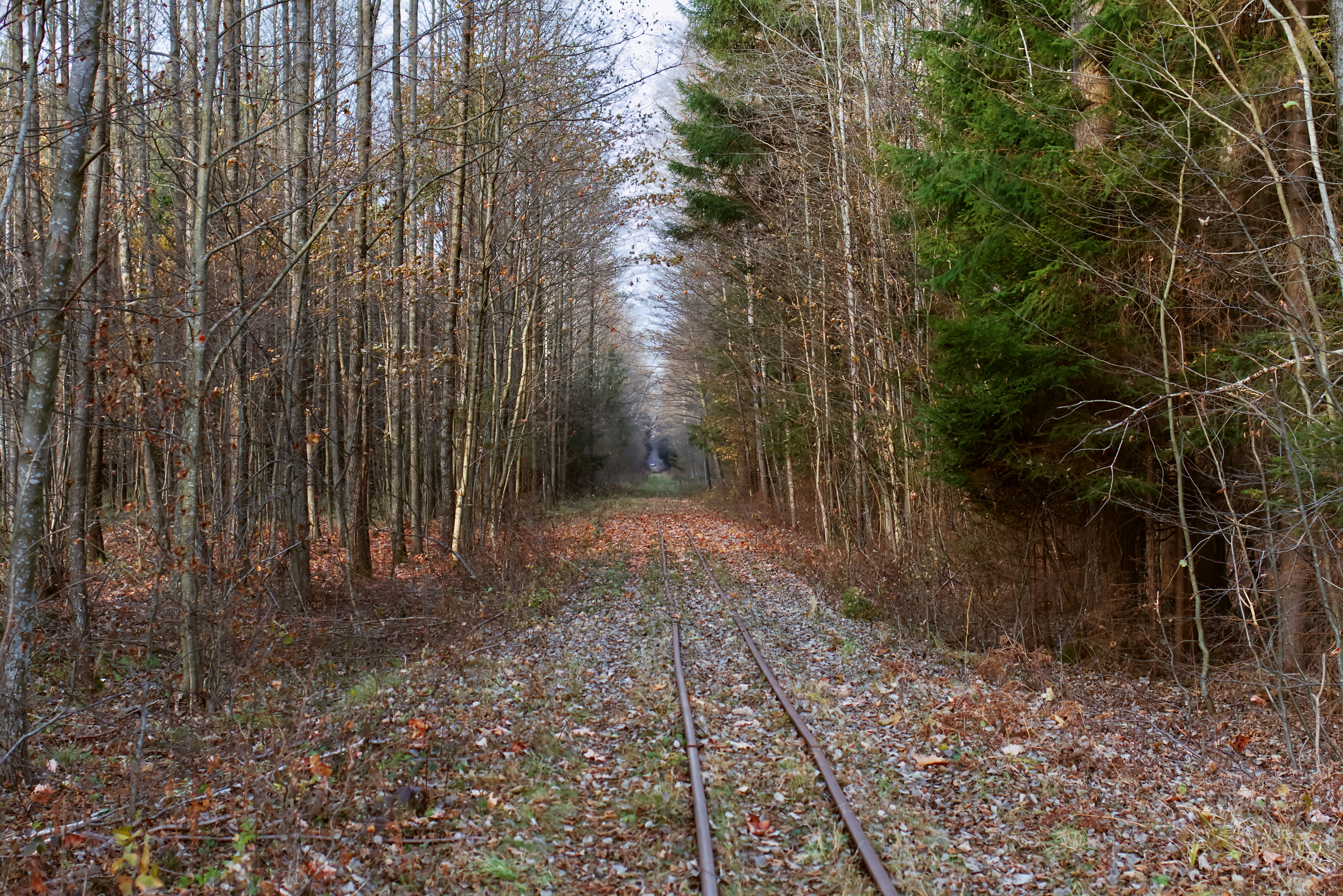 Photo by marek_ruczaj