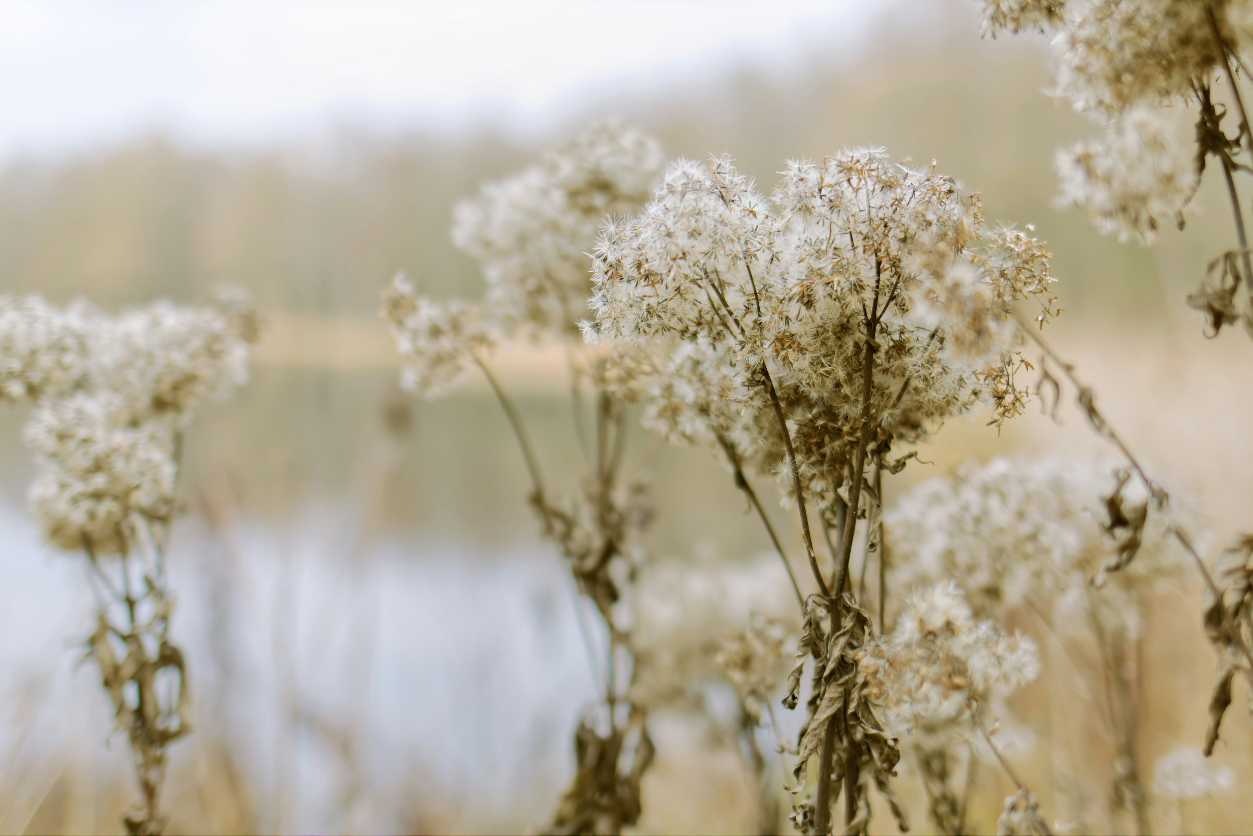 Photo by marek_ruczaj