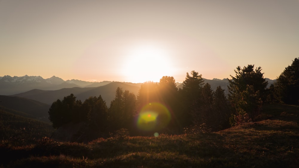 green grass field during sunrise