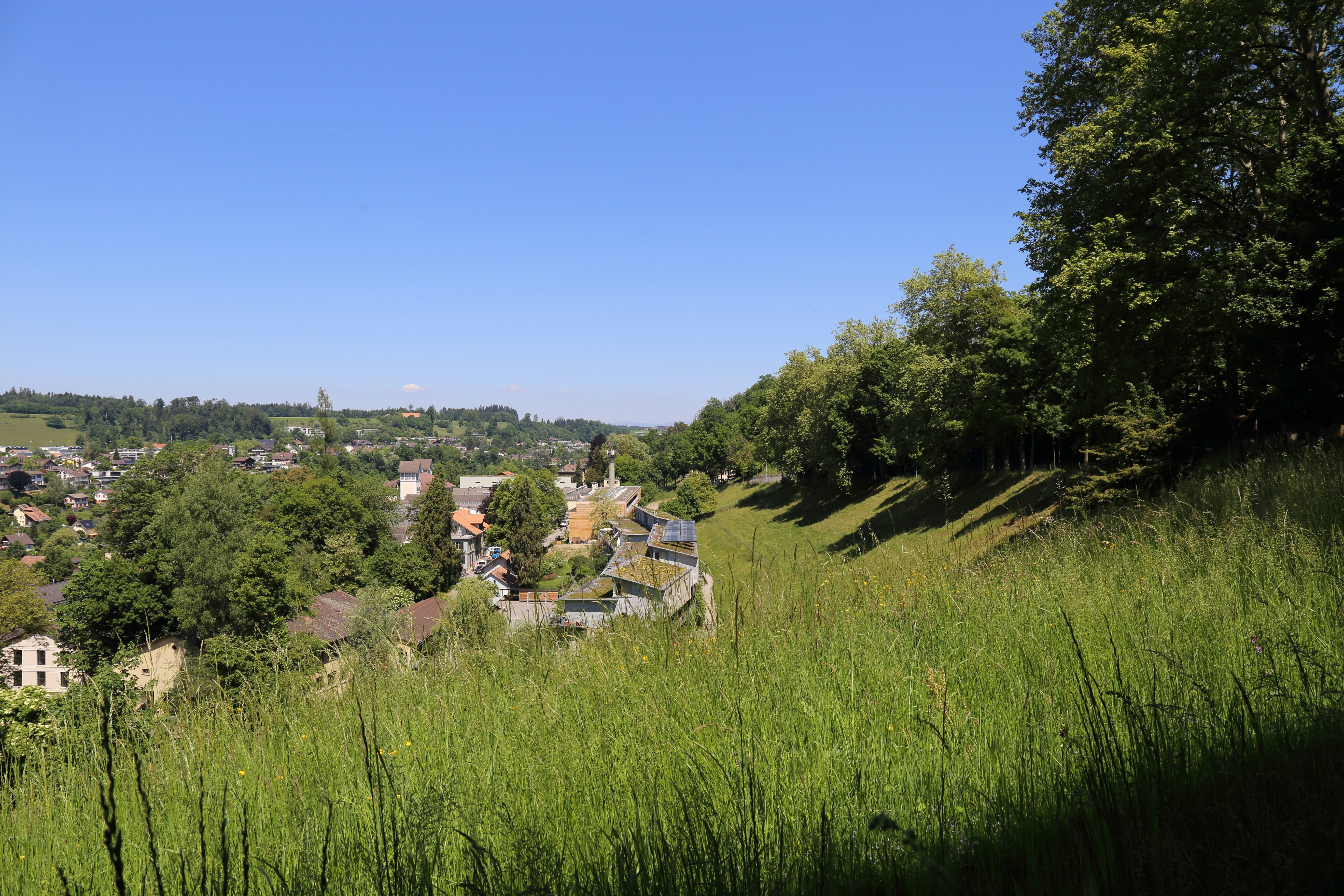 Photo by tomswisspics