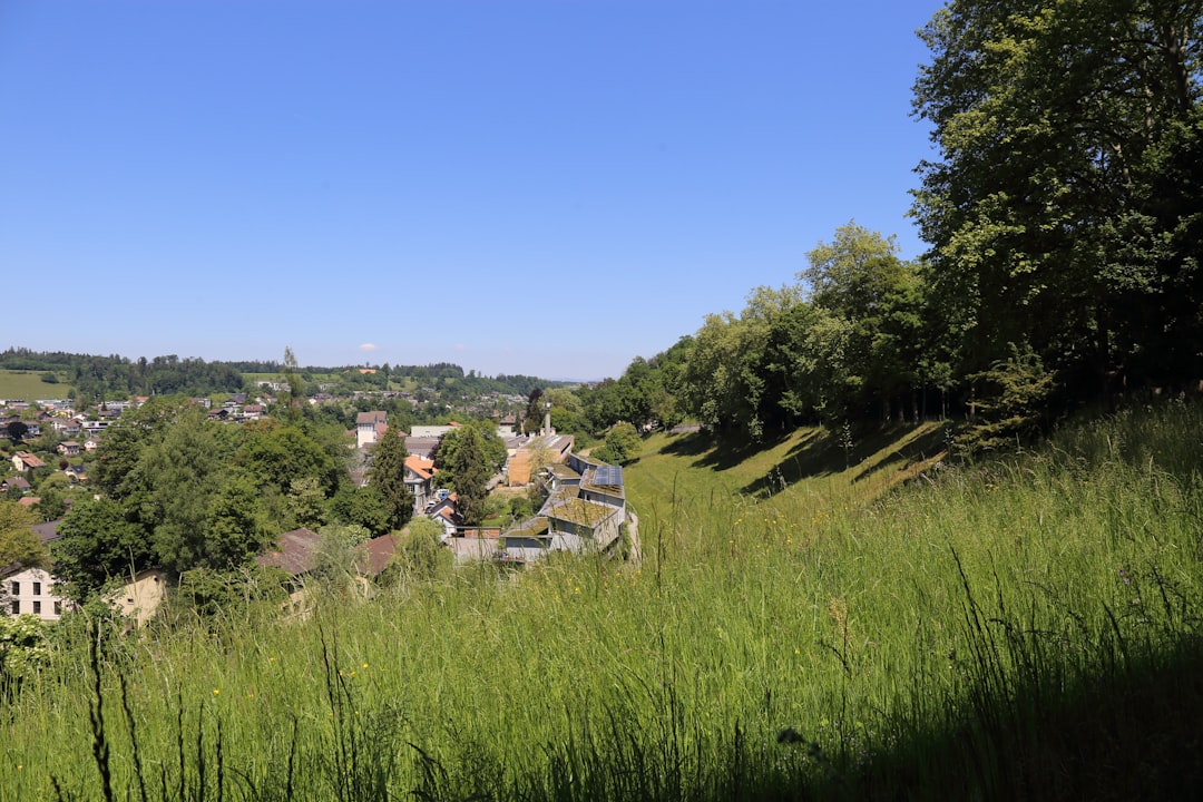 Nature reserve photo spot Felsenau Interlaken District