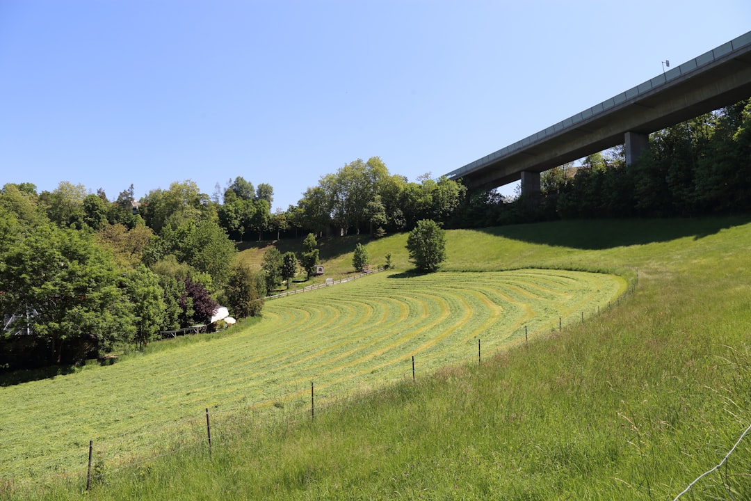 Nature reserve photo spot Felsenau Brienzer Rothorn