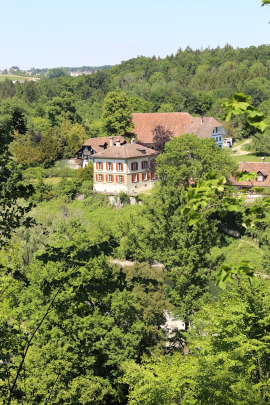 aerial view of green trees and brown and white concrete building during daytime in Felsenau Switzerland