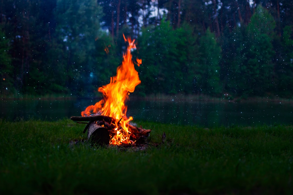 burning wood on green grass field near lake during daytime