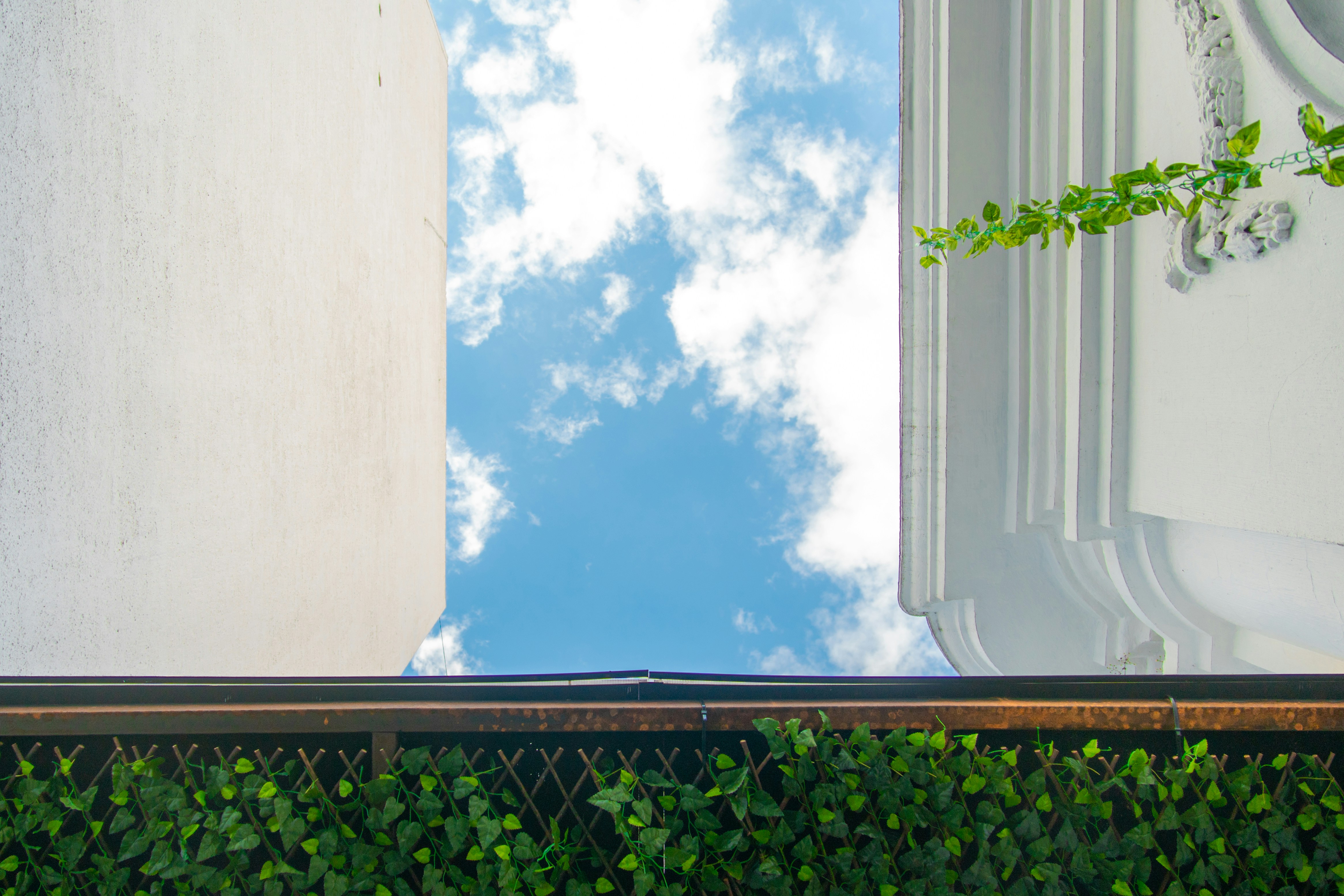 Photo by arturoeg_foto