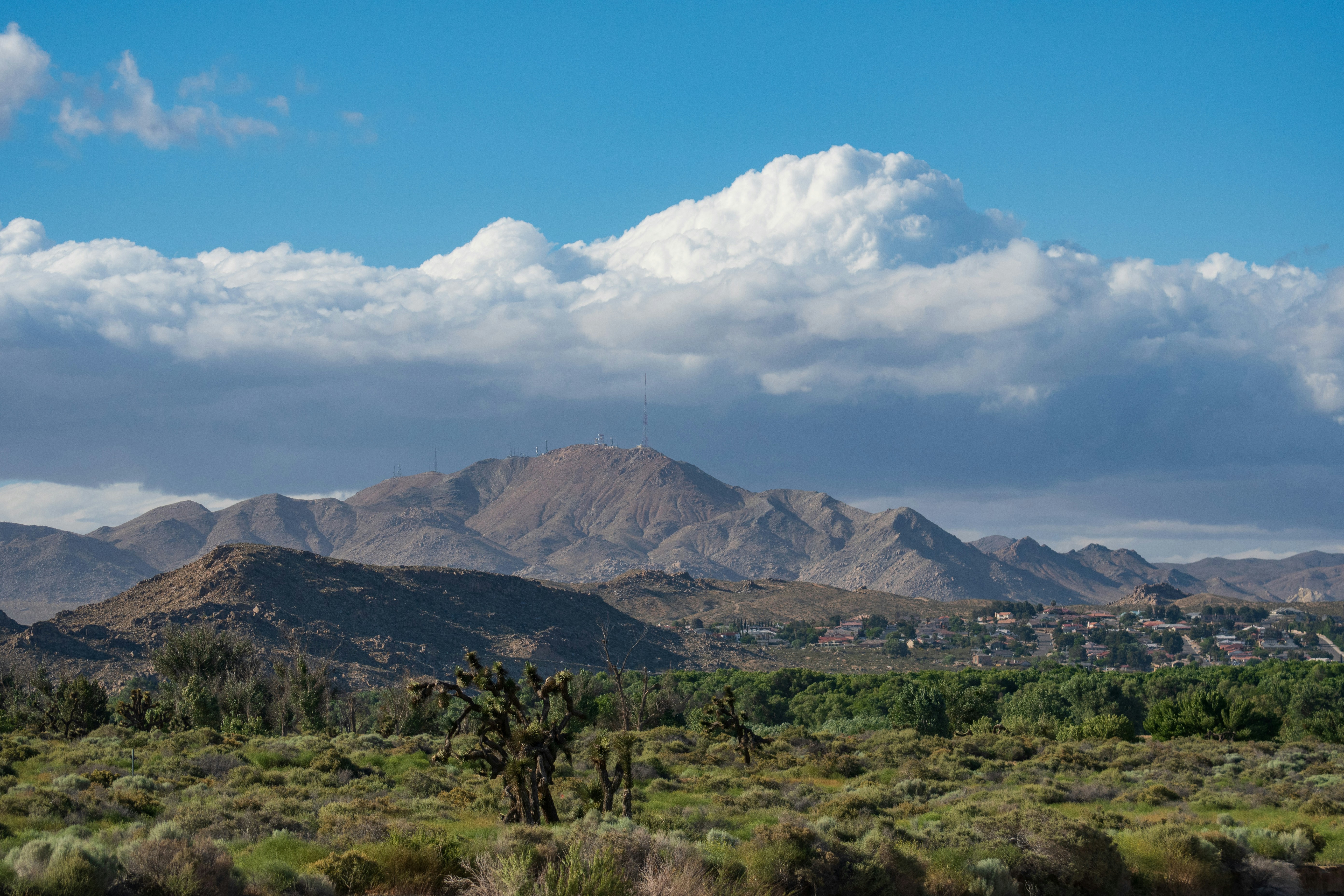 Photo by luisjlara343