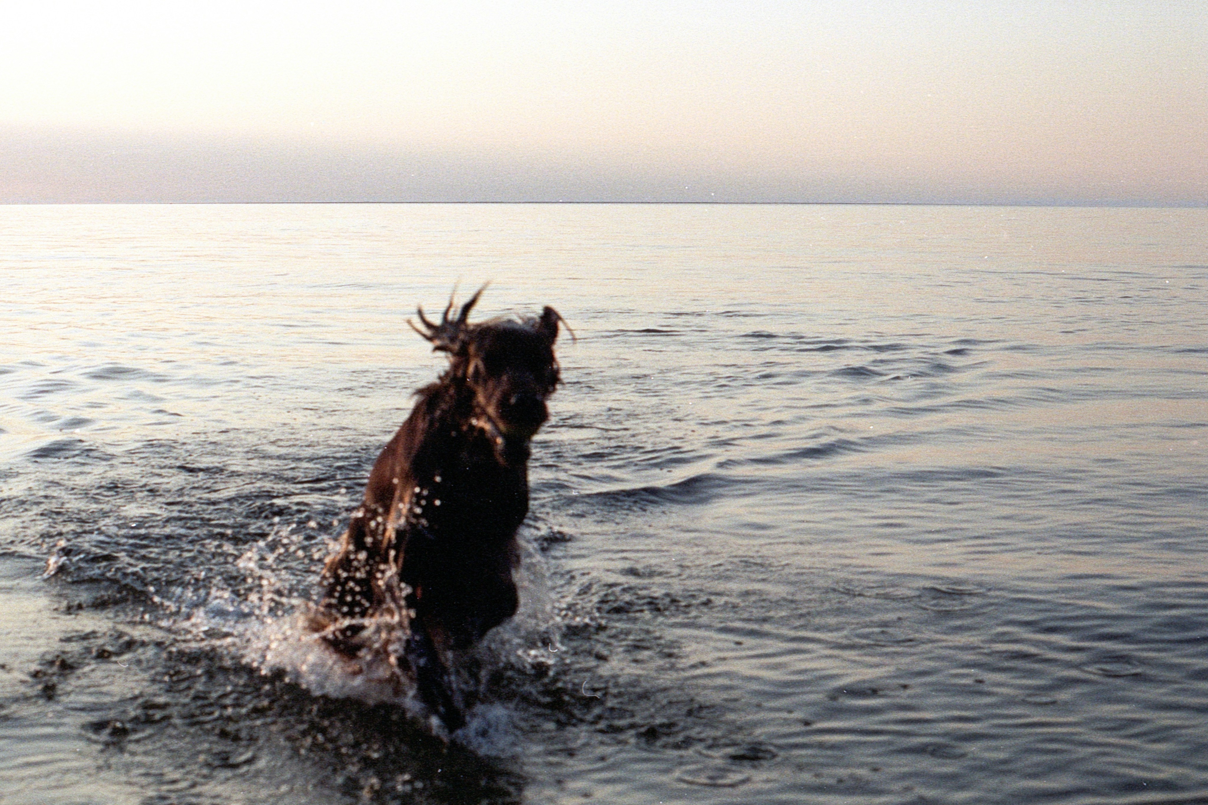 Photo by jeancarloemer