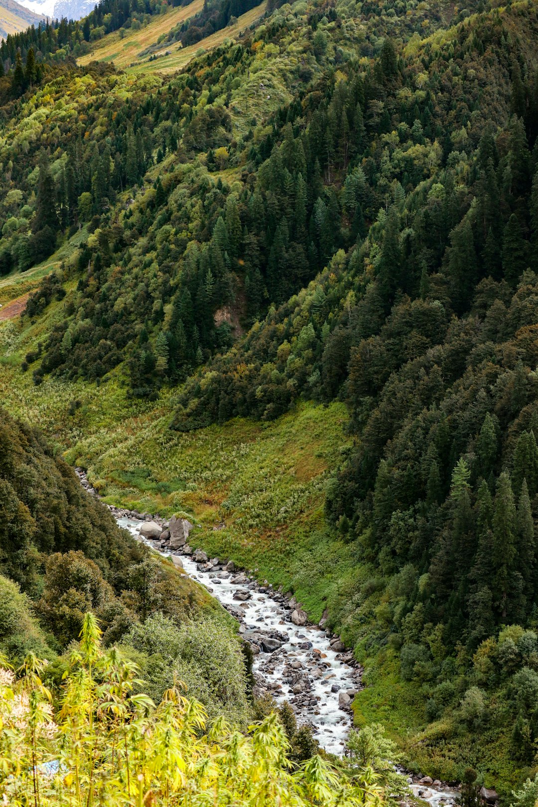 Nature reserve photo spot Himachal Pradesh Kullu