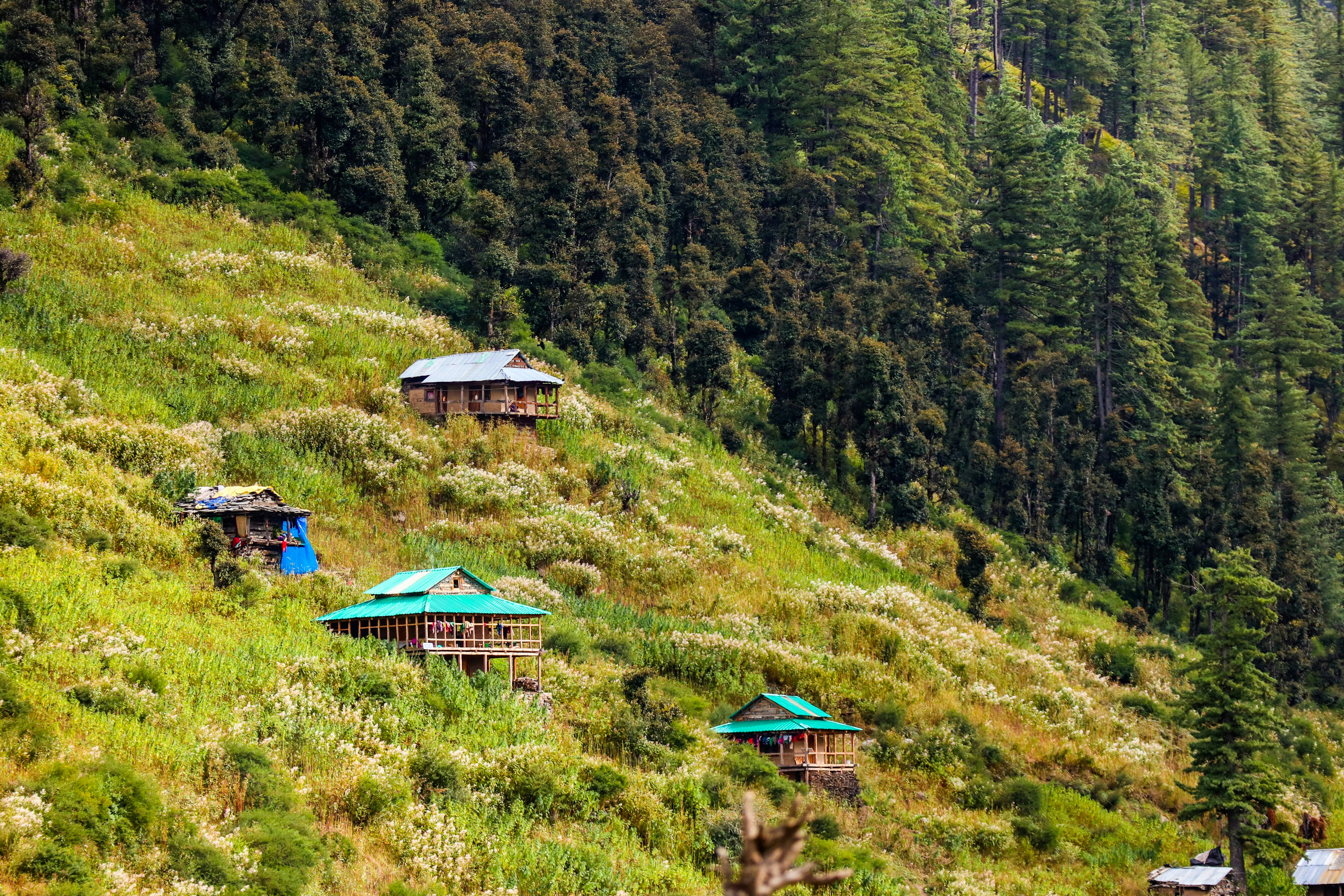 8 Zero-Waste Accommodations for Himalaya Eco Travel