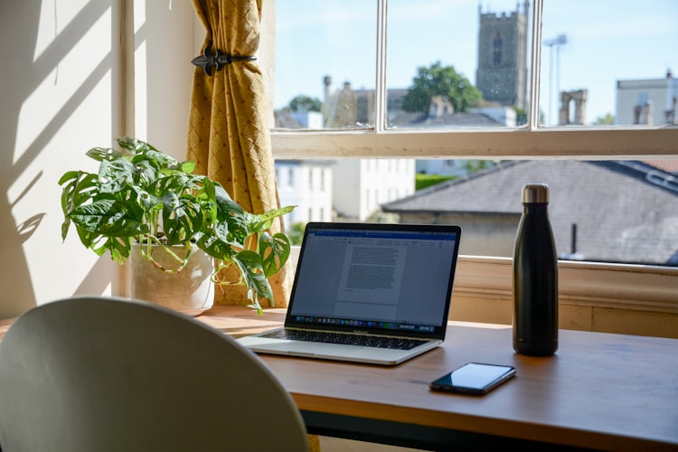 A desk with a plant, laptop, and water bottle facing an open window.