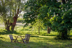 A wooden table and two chairs in a sunlit garden with a treehouse
