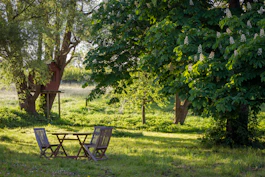 brown wooden bench under green tree during daytime