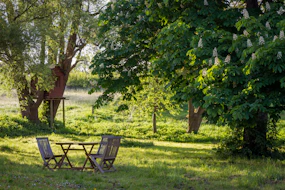 A wooden table and two chairs in a sunlit garden with a treehouse