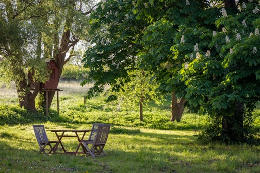 brown wooden bench under green tree during daytime