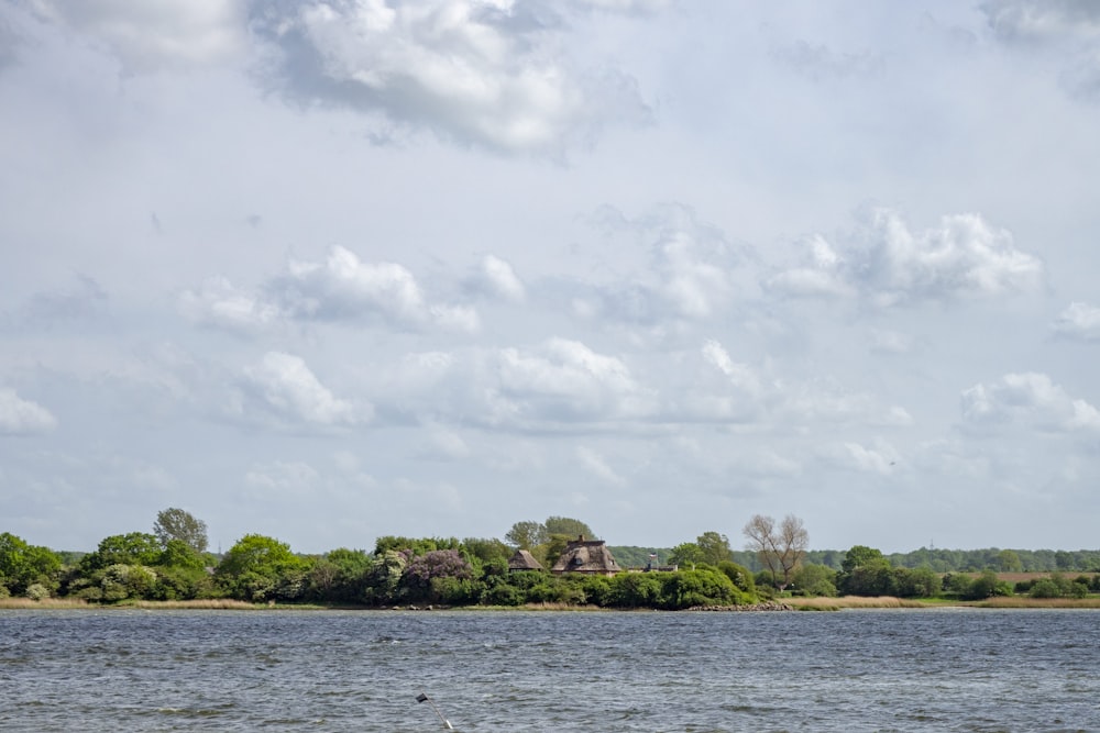 alberi verdi vicino allo specchio d'acqua sotto nuvole bianche durante il giorno