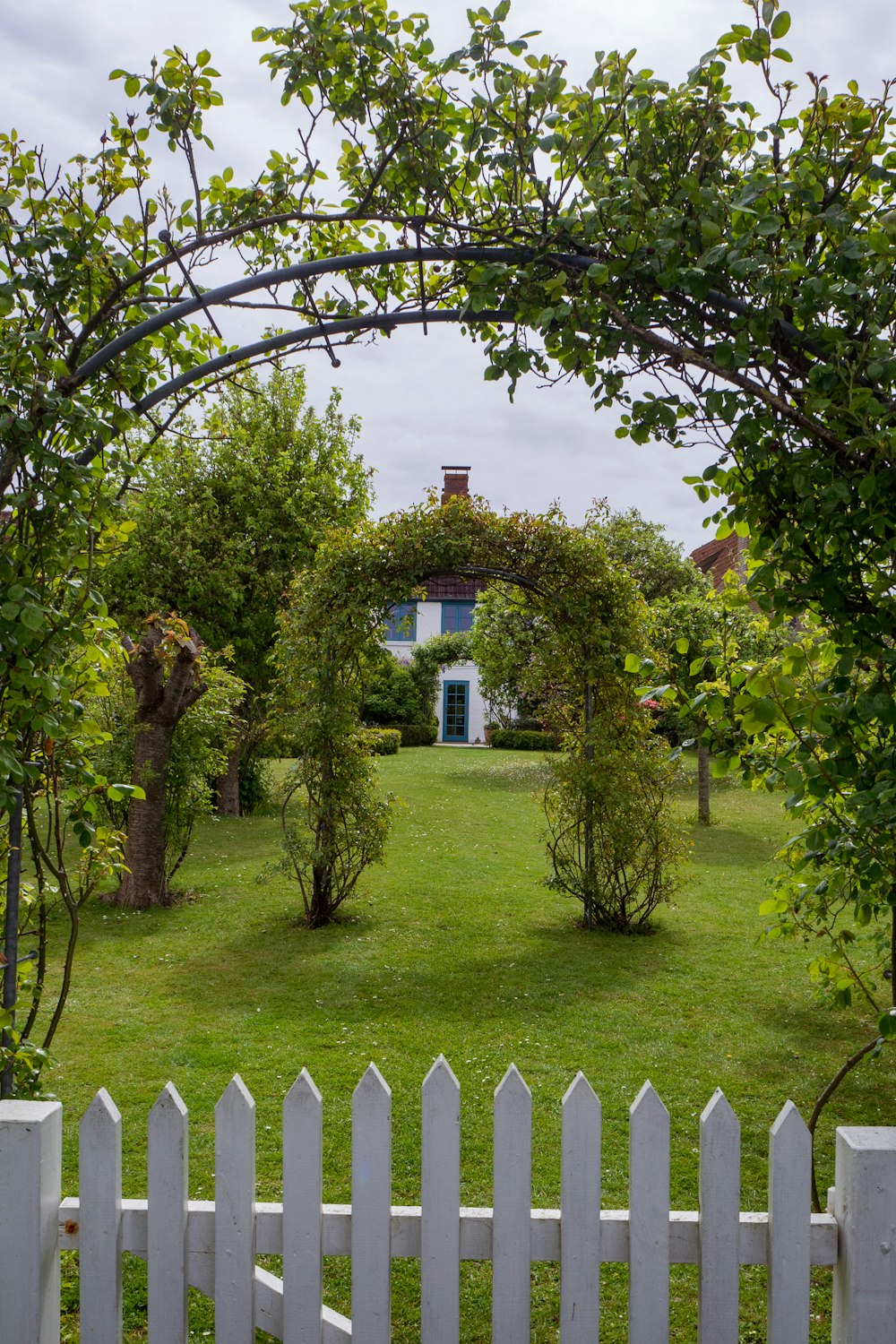 white wooden fence near green trees during daytime