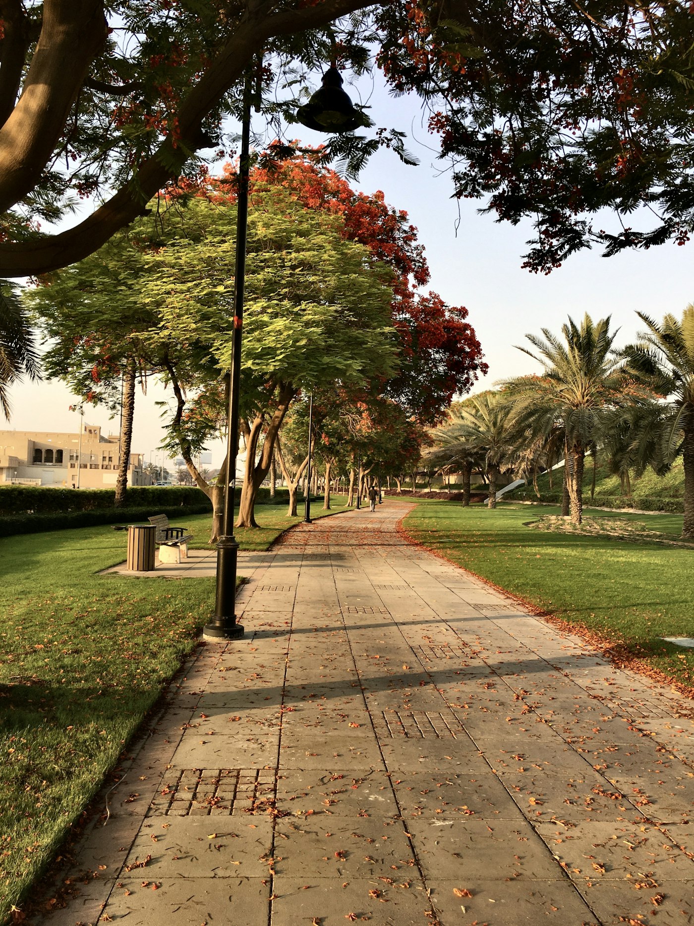 Elegant suburban villa with landscaped front garden and driveway