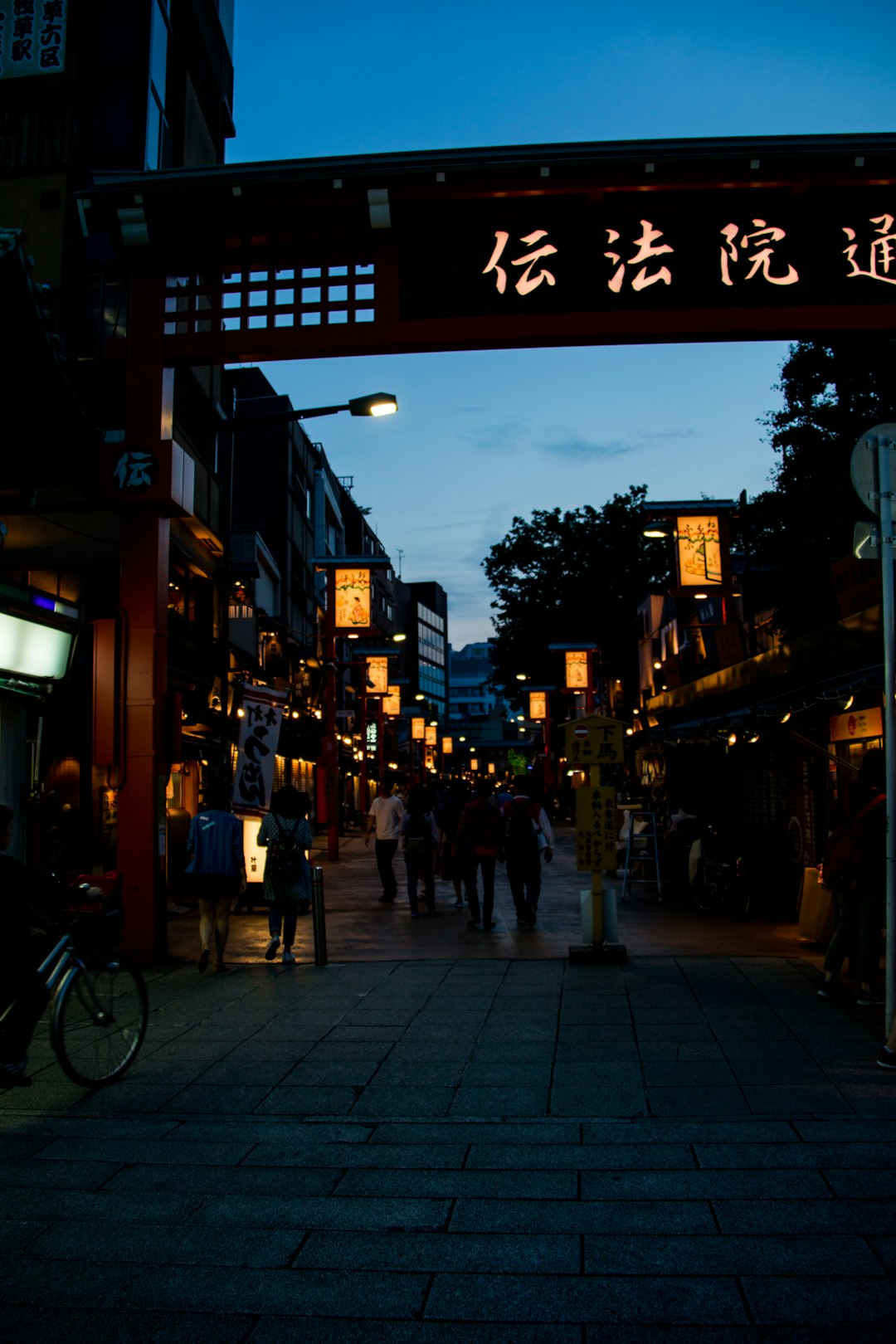 people walking on street during night time