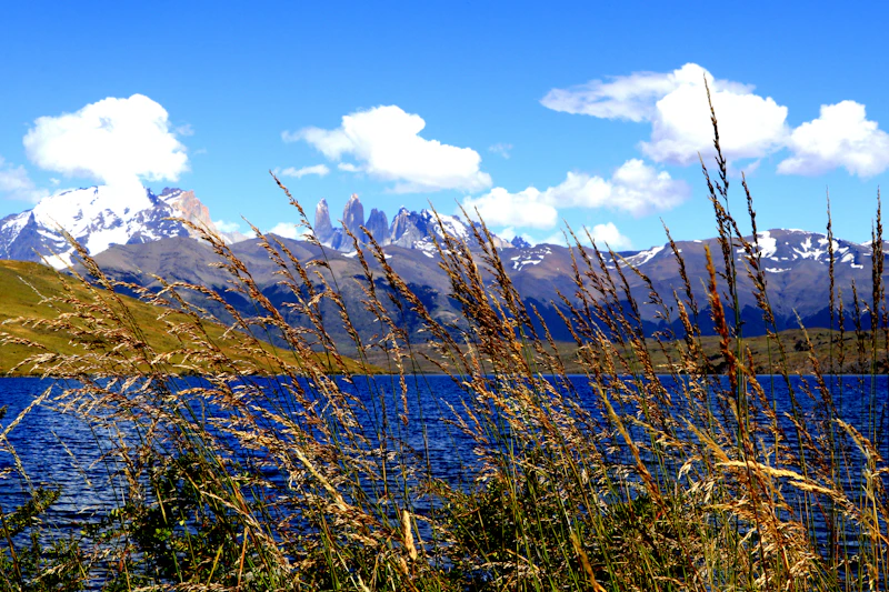 Best Live Music Bars in Puerto Natales for a Proper Night Out