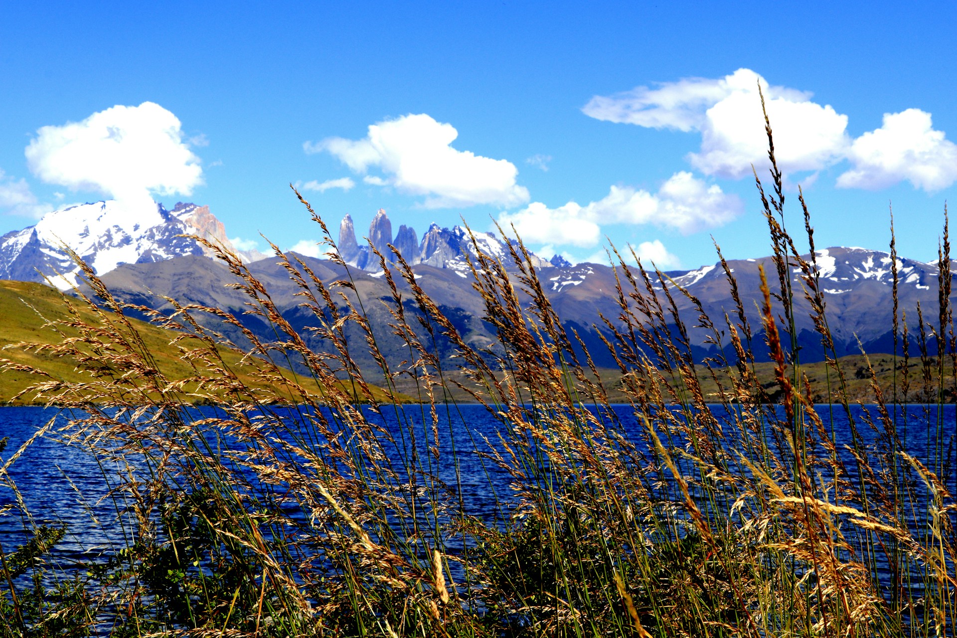 brown grass field near lake under blue sky during daytime