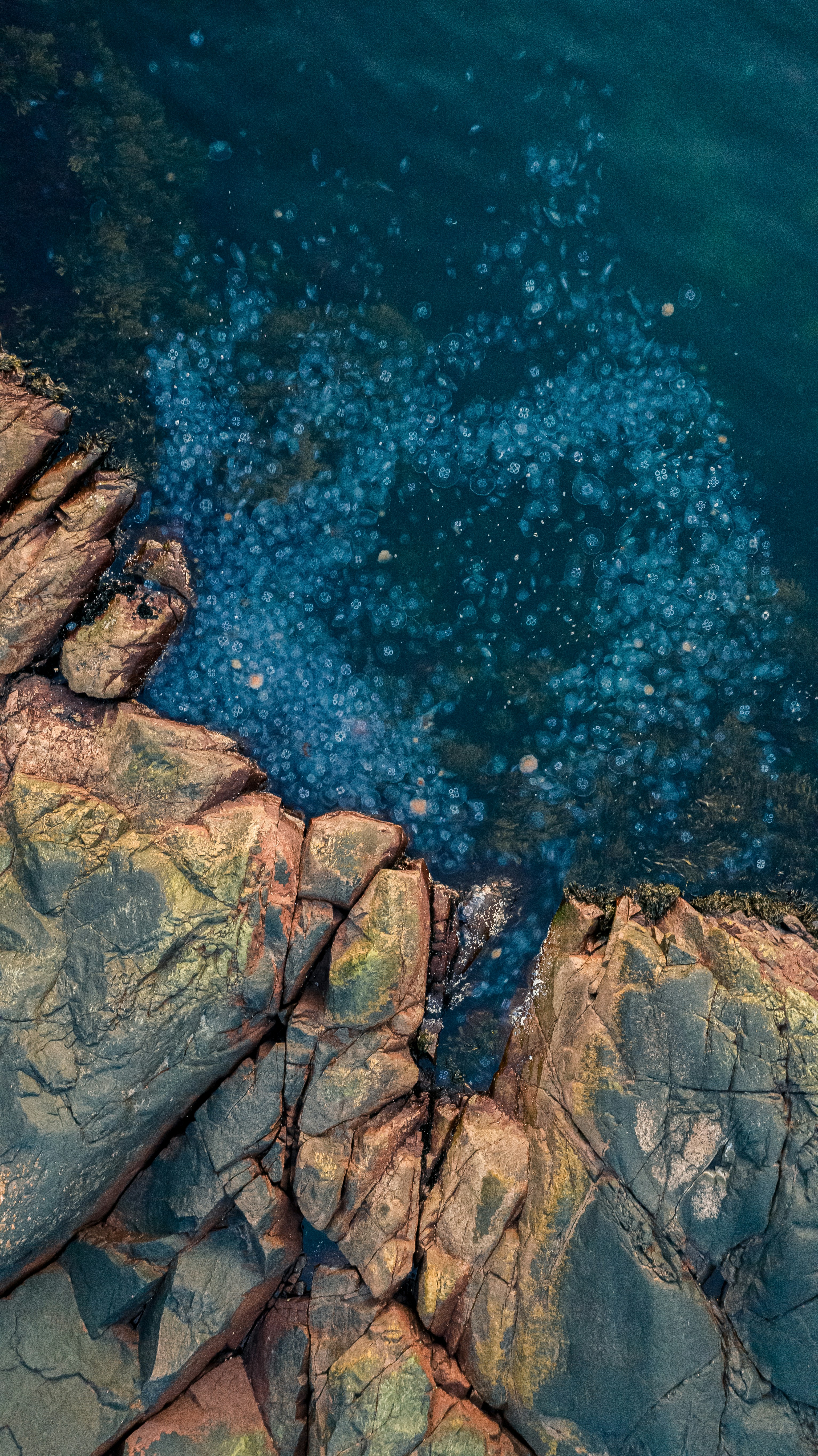 brown rock formation near body of water during daytime