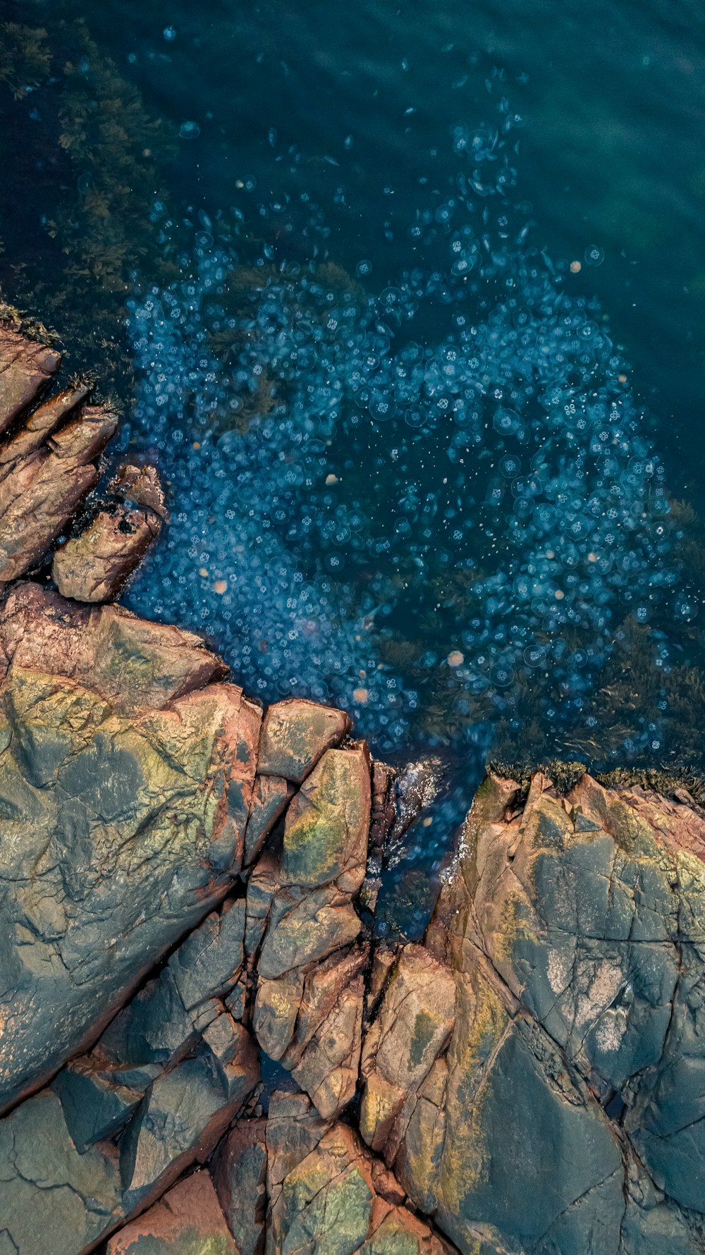 brown rock formation near body of water during daytime