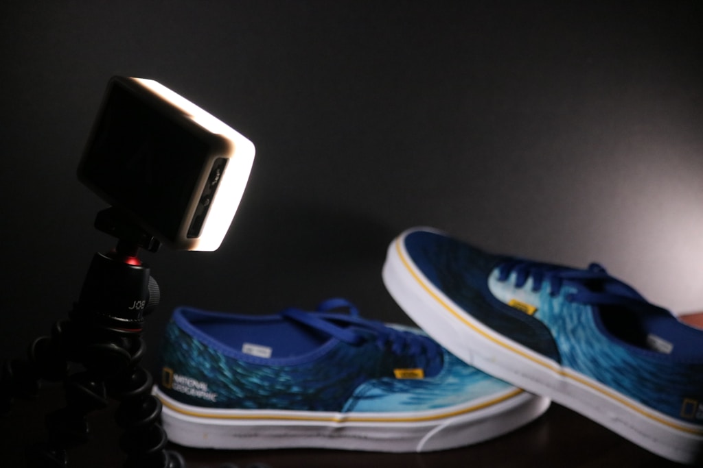 Daylight Canvas Trainers