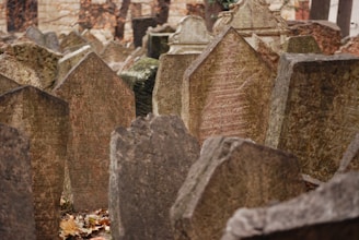 brown concrete blocks on green grass during daytime