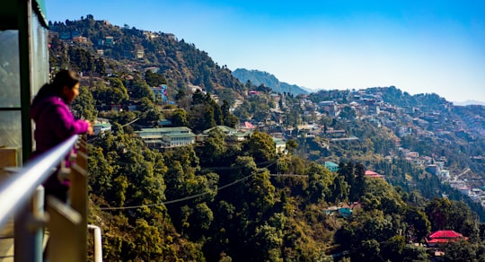 green trees on mountain under blue sky during daytime in Mussoorie India