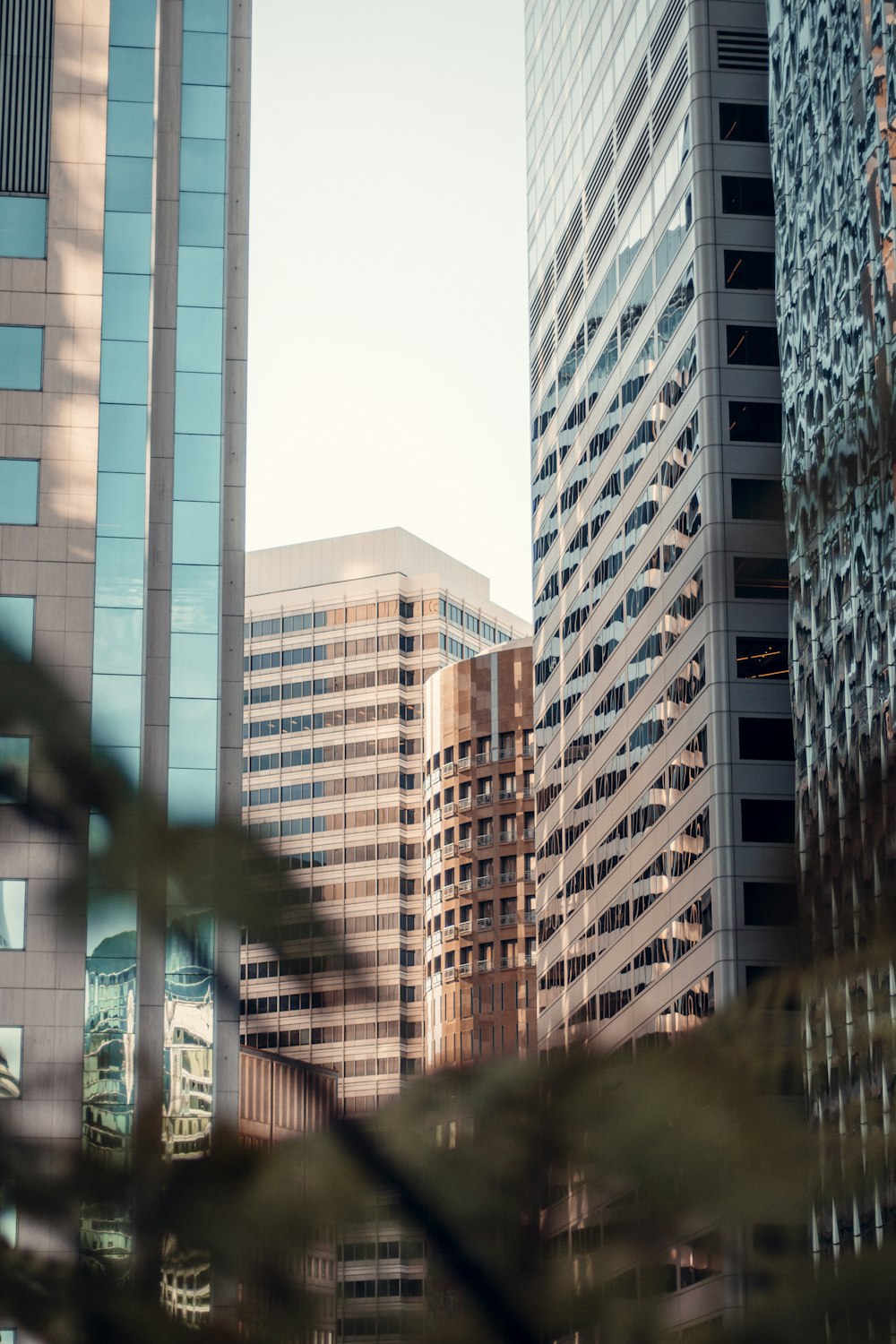 white and brown high rise buildings